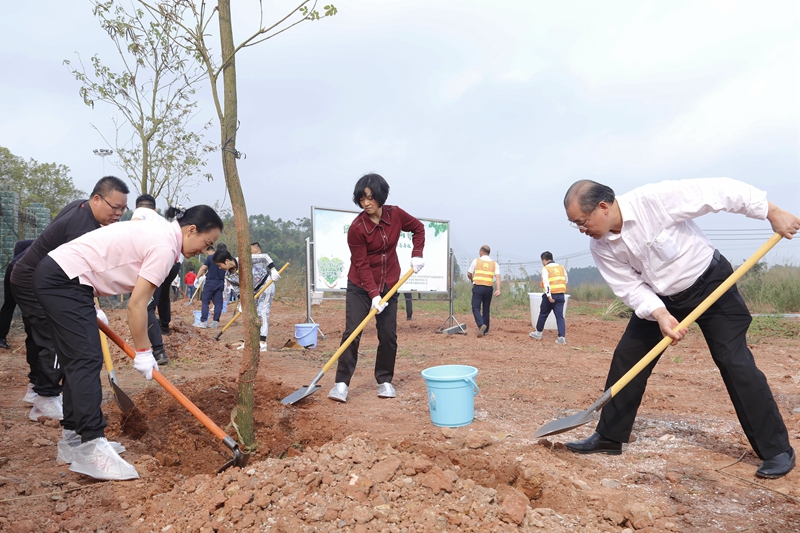 6.植树活动现场.JPG